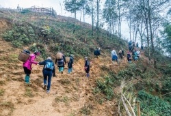 Sapa Trekking