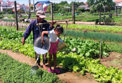 Life as A Farmer in Cam Thanh Village
