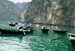 Bamboo Boat
