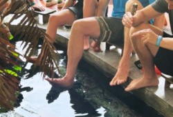 Foot Massage