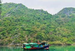 Halong Scenic