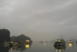 Evening