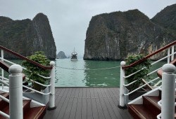 The cruise