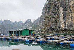 Floating village