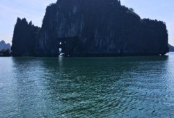 Bay