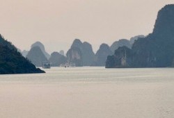 Beautiful Landscape