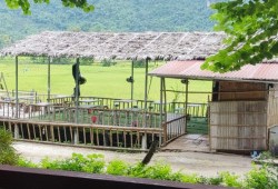 Z4779492860086 717530cc9656704810e9e407d93df5fa