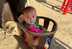 Z4553745056703 3779071f05b9b3c998d4ef9e2cf6b36f