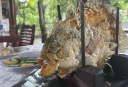 Z4512122480627 Cd6e2c7864b402a5580fa636acbfe863