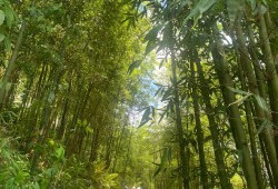 Z4425050140807 B532a0183a78e7a406a04aac7fb97b6f