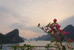 Z6183773220164 79b2a095e26434cf28f0b79ad26a8afa