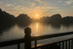 2026 03 11T140939 257