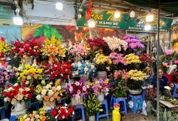 Z5251782849622 6268401537888131350f11abc207d87d