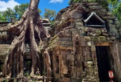 ta prohm