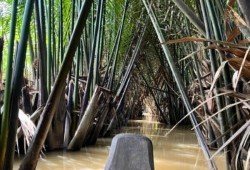 Sampan Ride