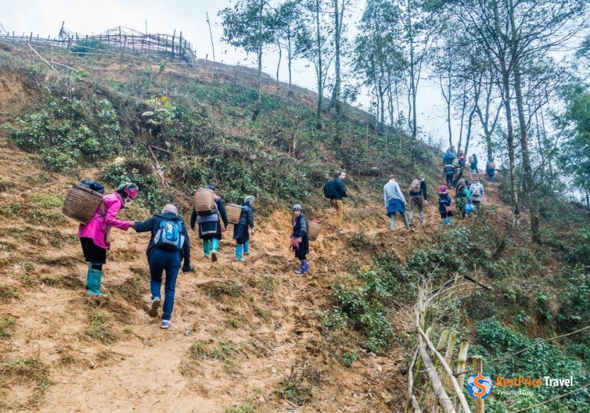 Sapa Trekking
