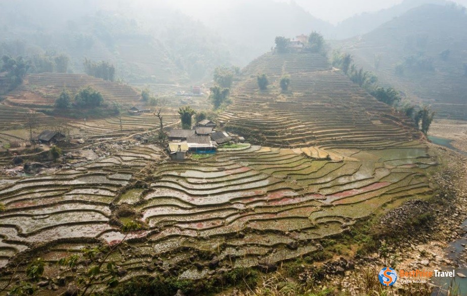 Terrace Fields