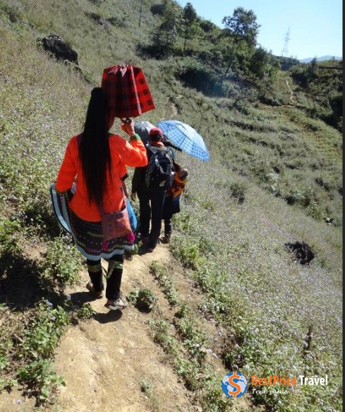 Sapa Trekking