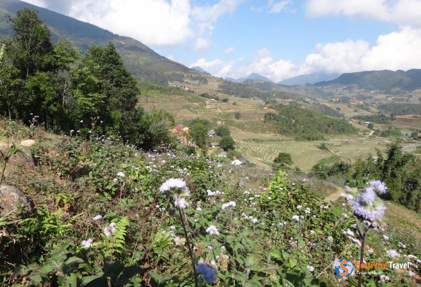 Sapa Trekking