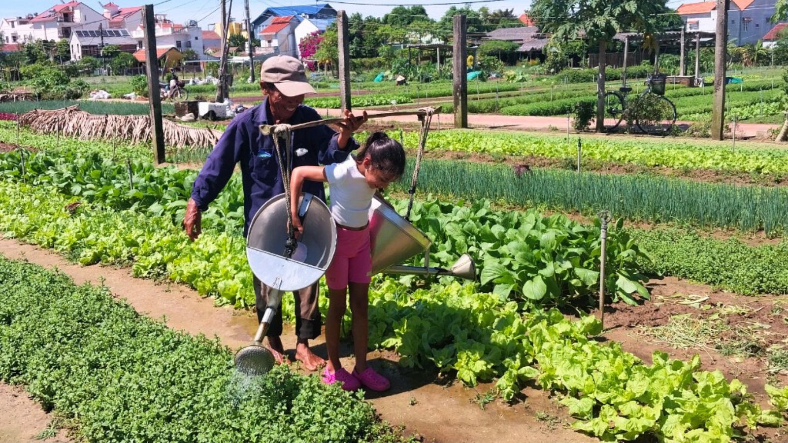 Life as A Farmer in Cam Thanh Village