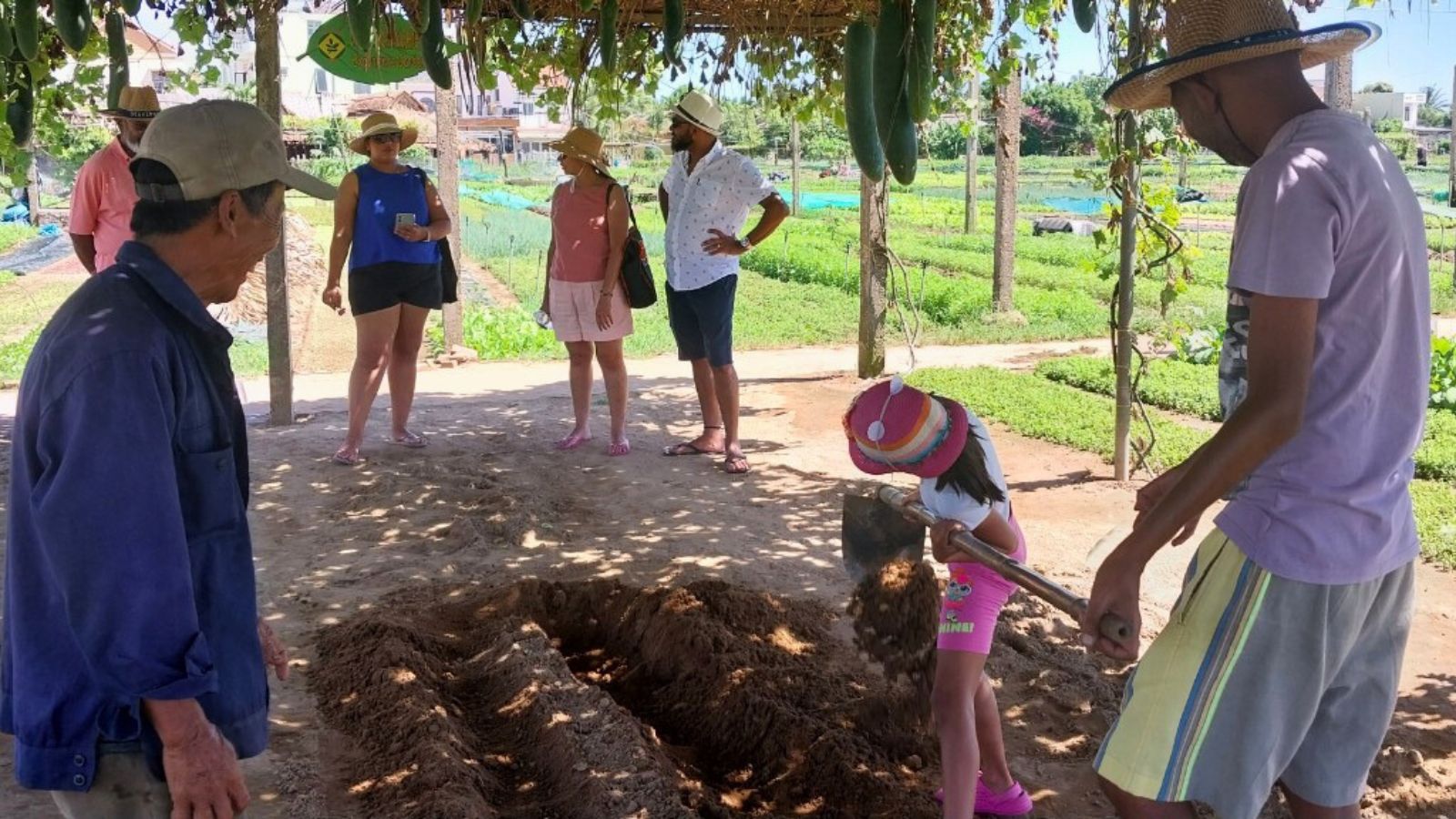 Life as A Farmer in Cam Thanh Village