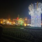 Caption (24)
