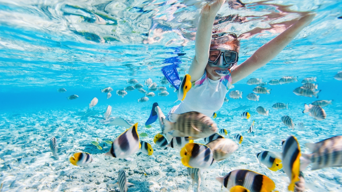 Snorkeling & Marine Life