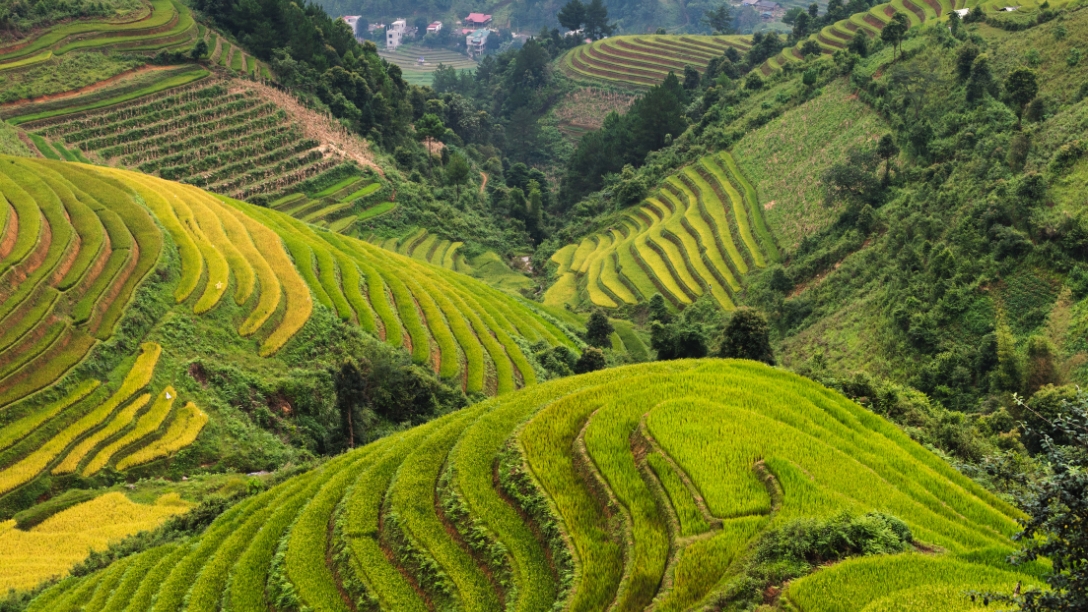 Sapa Mountain Trekking