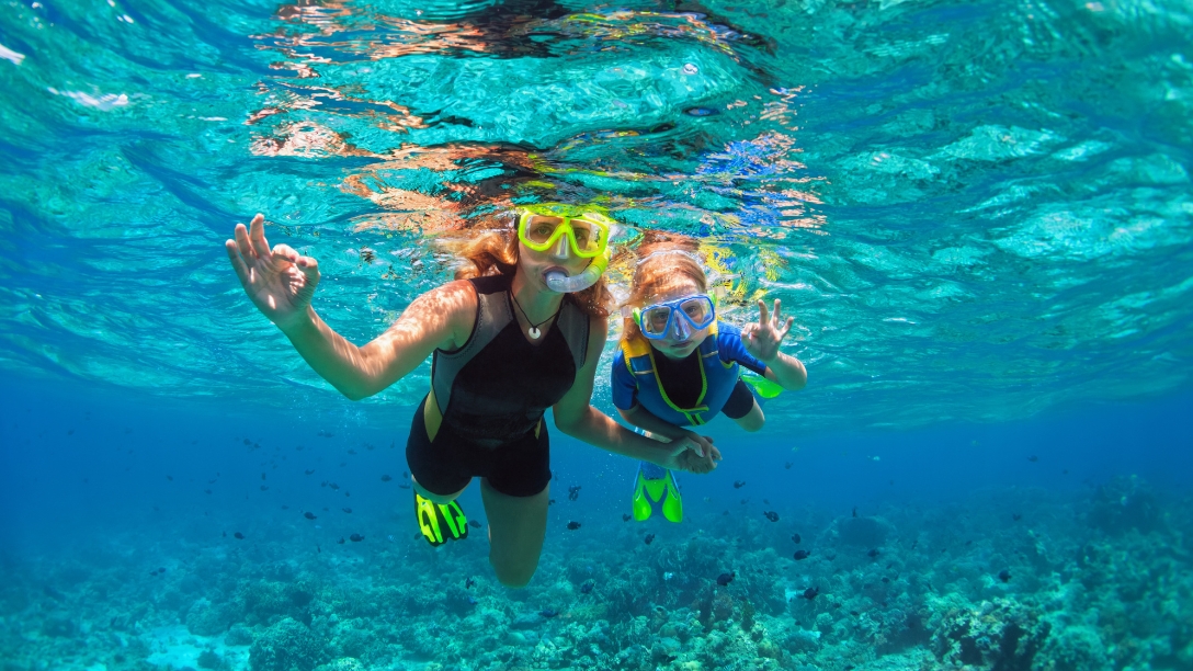 Snorkeling & Marine Life