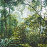 Mai Chau & Cuc Phuong National Park 3 days from Hanoi