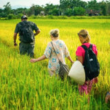 Private Tour - Tra Que Vegetable Village Half-day