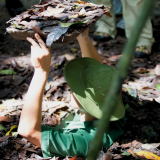 Cu Chi Tunnels Half Day - Small Group