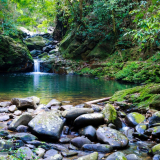 Discover Bach Ma National Park & Lang Co beach Full day