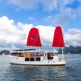 Amazing Sails Explorer Private Day Trip