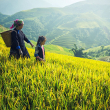 Hidden Trail to a Village of Red Dao 2 days