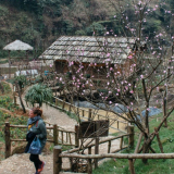 A Glimpse Of Sapa 2 days
