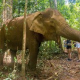Cambodia Soft Adventure 9 days