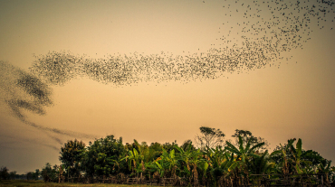 Bat Cave & Enjoy Sunset half day