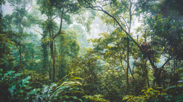 Mai Chau & Cuc Phuong National Park 3 days from Hanoi