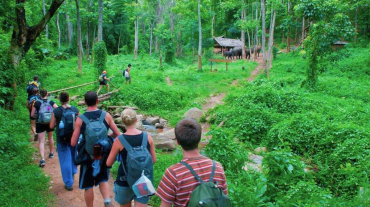 Cuc Phuong National Park Full Day