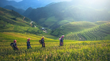 Sapa Trekking & Ethnic Market 3 days
