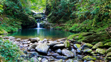 Discover Bach Ma National Park & Lang Co beach Full day
