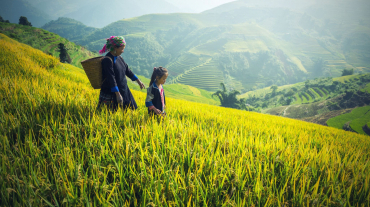 Hidden Trail to a Village of Red Dao 2 days