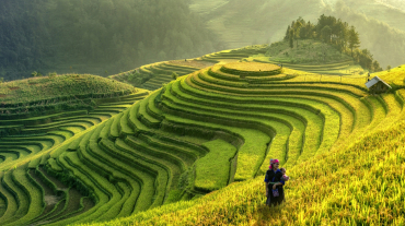 Northwest Vietnam Explorer: 11 Days of Culture & Stunning Landscapes