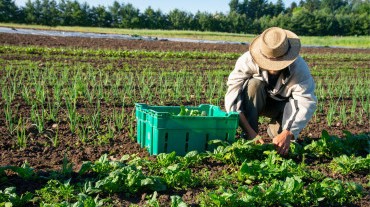 Manh Farm & Cooking Class in Hanoi Half Day