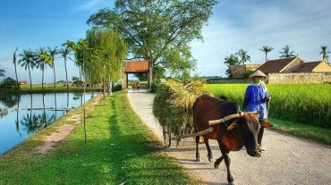 A Day in Ky Son: Biking, Cooking & Herbal Healing