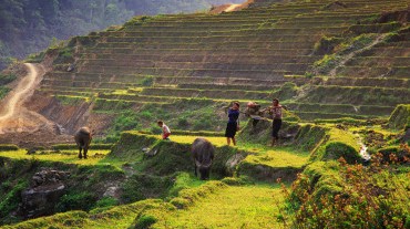Luxury Halong Bay & Sapa Adventure 5 days