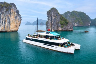 Day Cruise