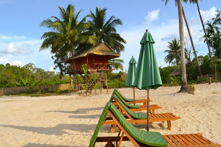 Tatai Riverfront Resort Tree House