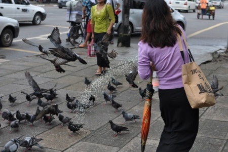 On The Street In Yangon